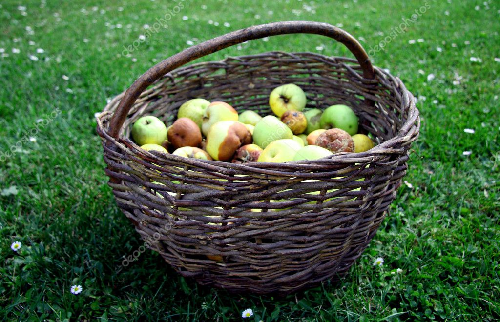Basket of apples — Stock Photo © rachwal 1724145