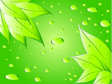 Green leaves vector clipart