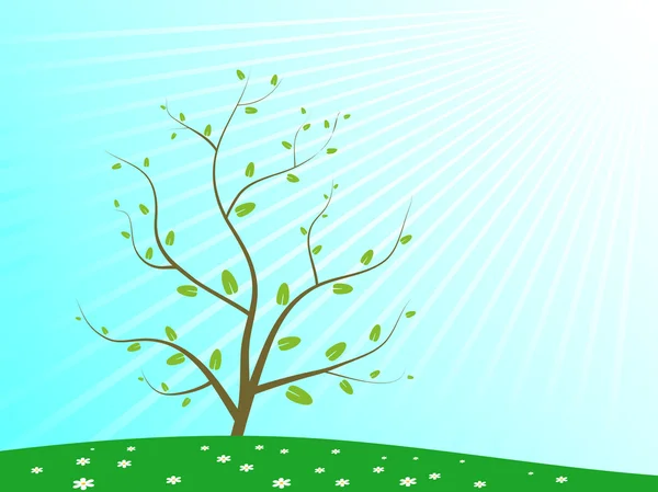 stock vector Tree background