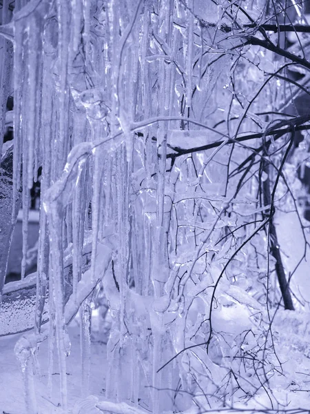 Χειμώνα. δέντρα σε πάγο καταψύχονται χέρ — Φωτογραφία Αρχείου