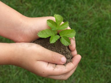 Hands and plants clipart