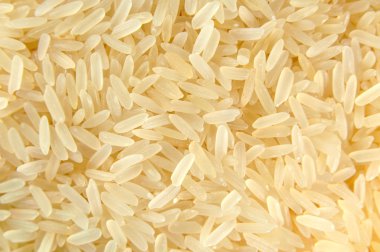 Rice clipart