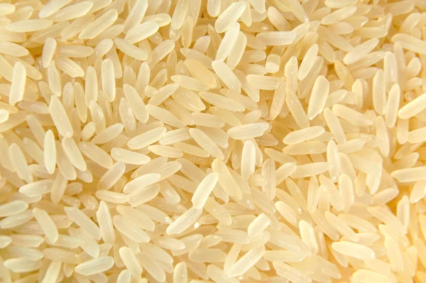 stock image Rice