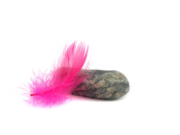 Stone and feather — Stock Photo, Image