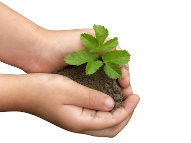 Hands and plants clipart