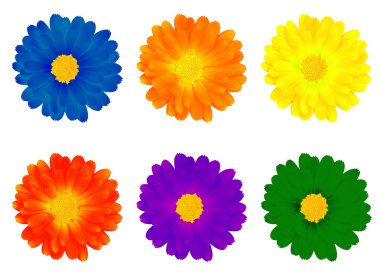 Six colourful flowers clipart