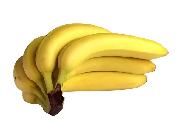 Bananenstaude isoliert — Stockfoto