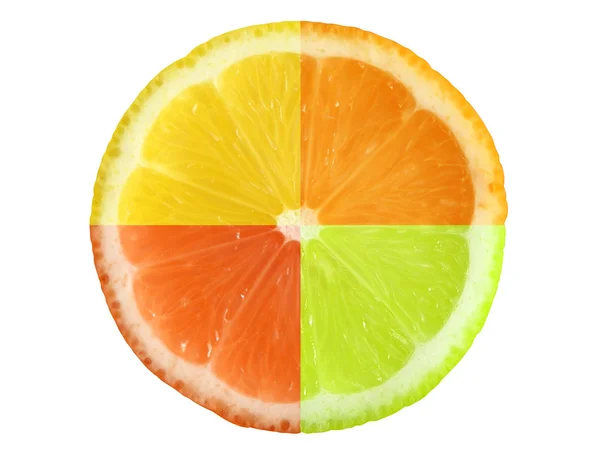 Citrusfrukter med urklippsbana Stockbild