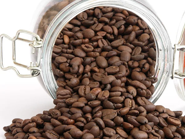 Semillas de café — Foto de Stock