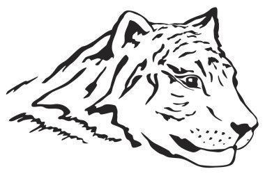 Tiger head clipart