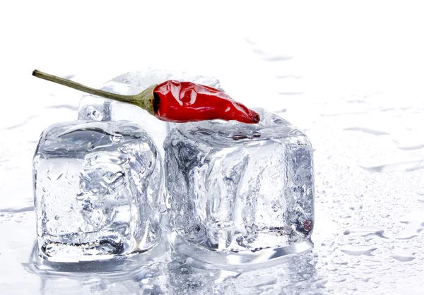 Pimenta vermelha e cubos de gelo — Fotografia de Stock