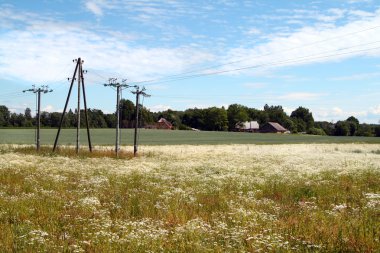 Electricity pylons in the meadow clipart