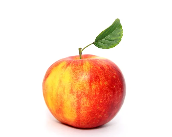 Μήλο — Φωτογραφία Αρχείου