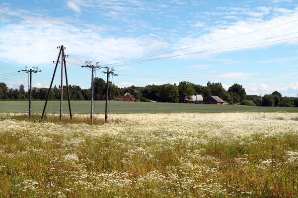 Pylons de eletricidade no prado — Fotografia de Stock