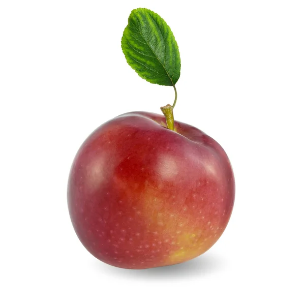 Κόκκινο μήλο Εικόνα Αρχείου