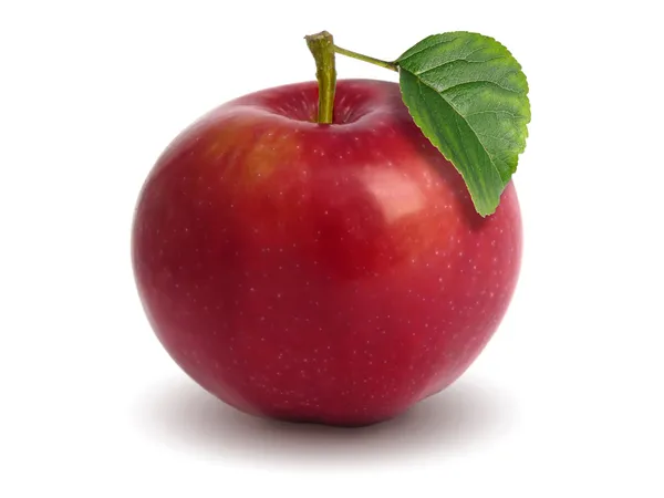 Rött äpple Stockbild