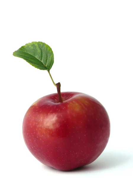 Μήλο Φωτογραφία Αρχείου