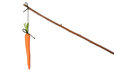 Carrot clipart