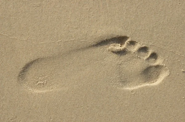 stock image Footprint