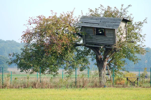 Tree House — Stock Photo, Image
