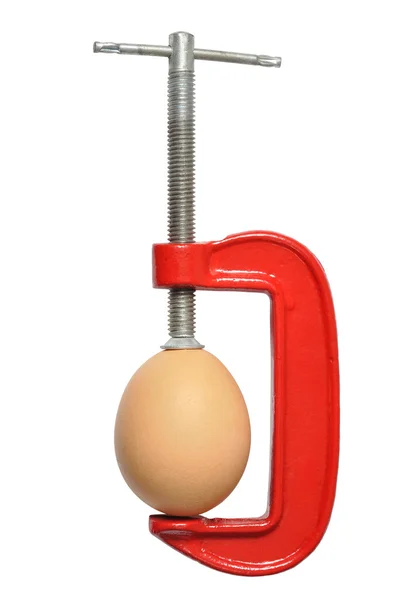 Kelepçe içinde yumurta — Stok fotoğraf