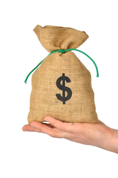 Ruka s taškou na peníze — Stock fotografie