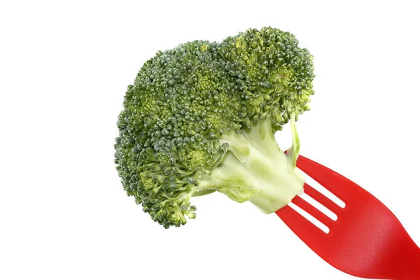 Brokoli. — Stok fotoğraf