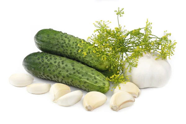 Komkommers en knoflook — Stockfoto
