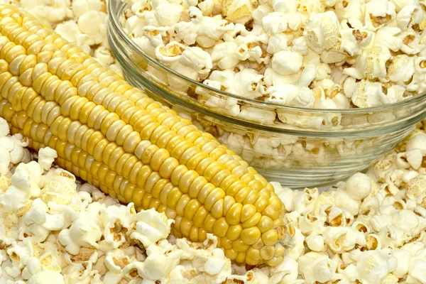 stock image Popcorn and corn.