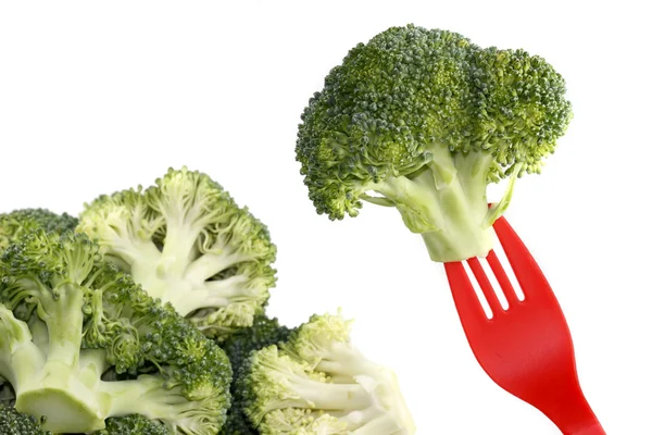Brócoli — Foto de Stock