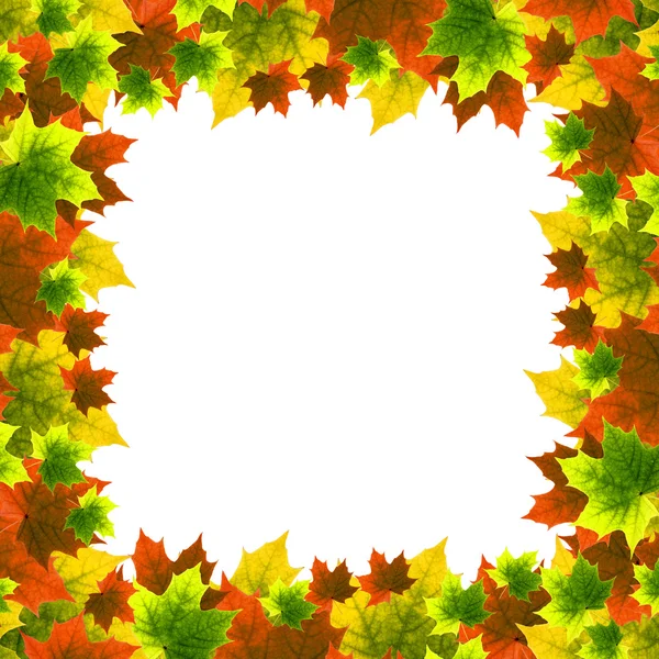 stock image Leaf frame