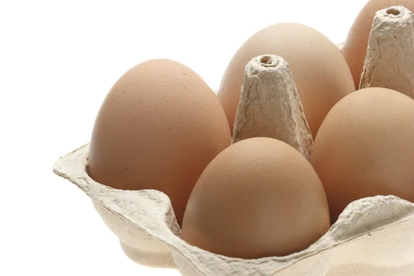 Yumurtalar. — Stok fotoğraf