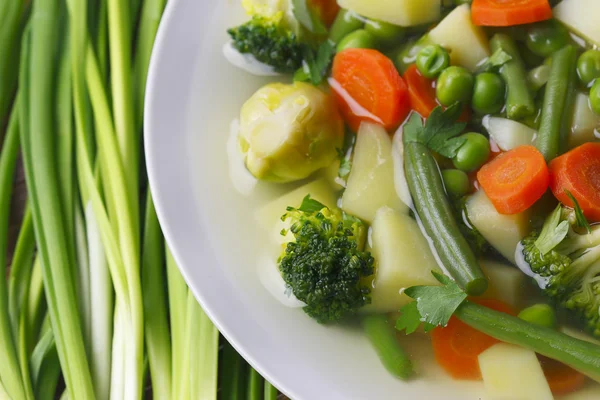 Zeleninová polévka dietní. — Stock fotografie