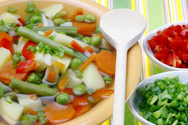 饮食蔬菜汤 — 图库照片