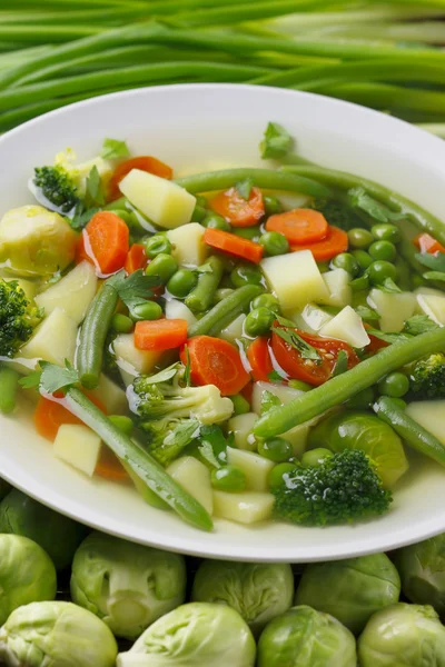 Zuppa di verdure a dieta . — Foto Stock