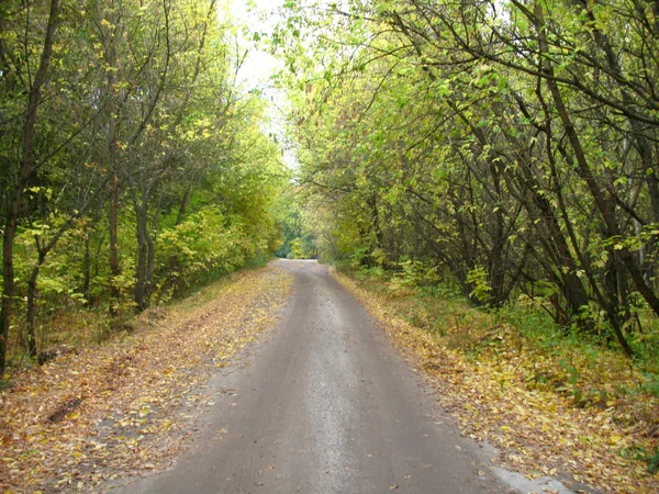 stock image Road