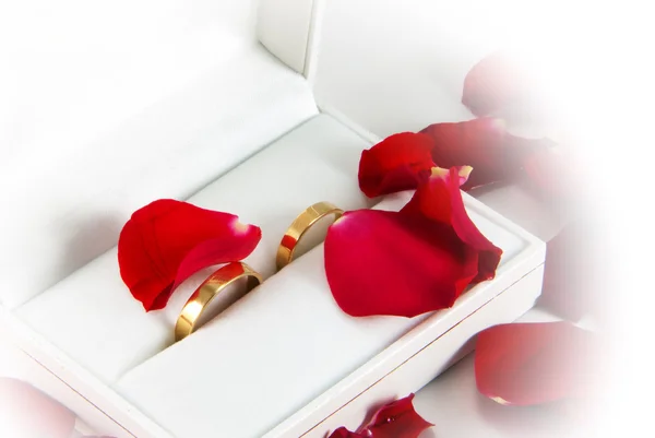 Roses and wedding rings Stock Picture