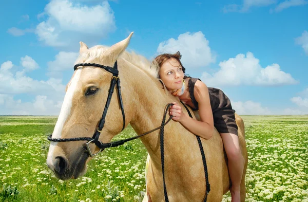 私の馬を愛する — ストック写真