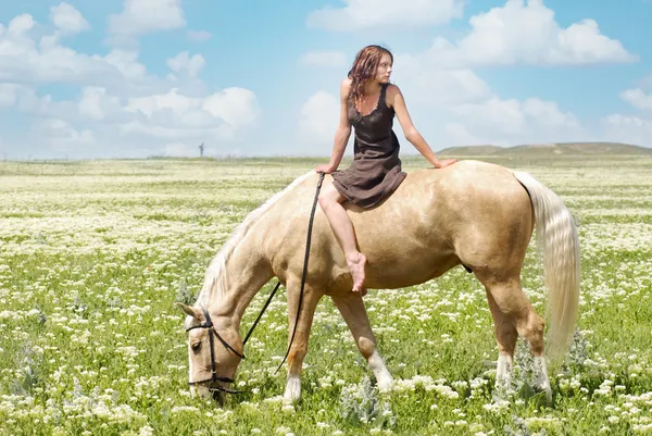 Маленькая женщина на большой лошади — стоковое фото