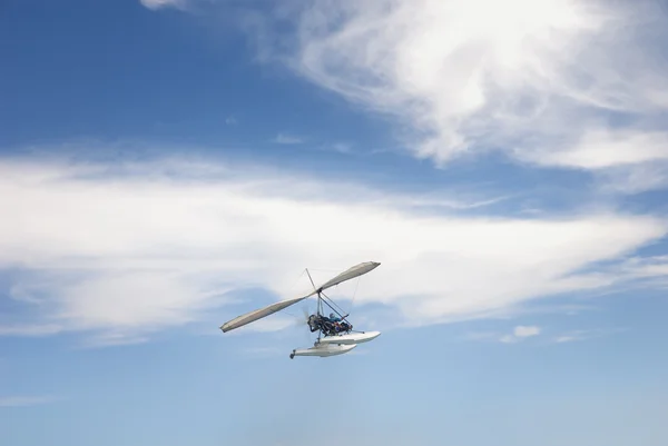 stock image Freedom in the sky