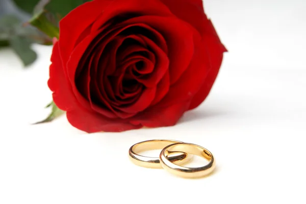 Uma rosa e duas alianças de casamento — Fotografia de Stock