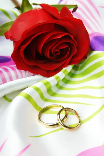 Rosa roja y anillos de oro — Foto de Stock
