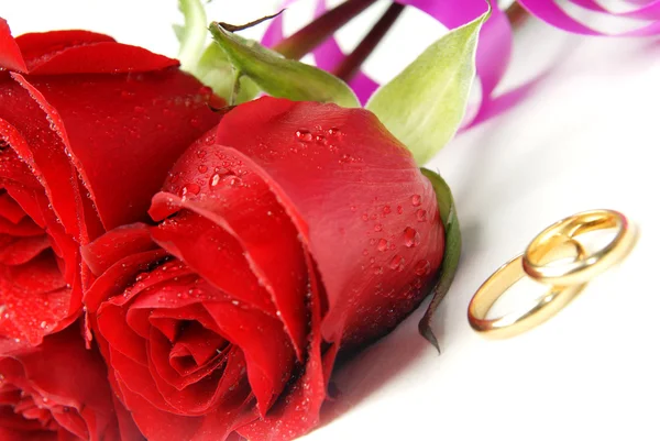 Rosas e anéis de casamento — Fotografia de Stock
