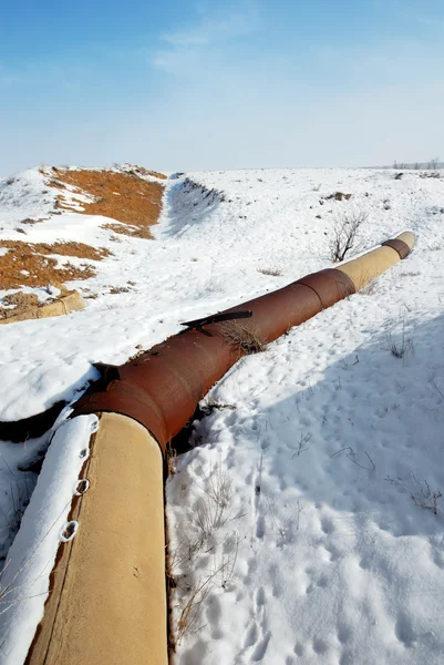 Pipeline — Photo