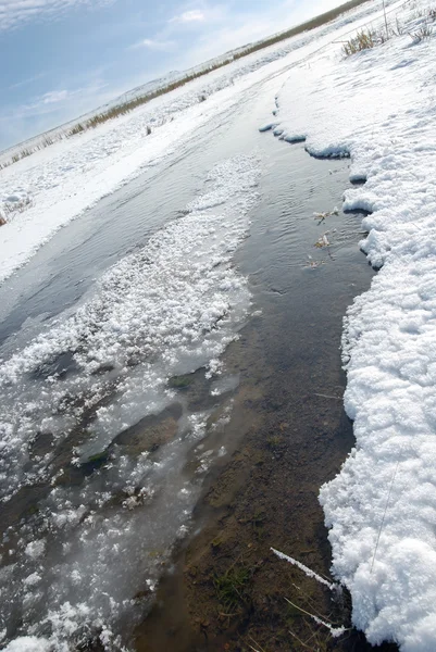 stock image End of winter