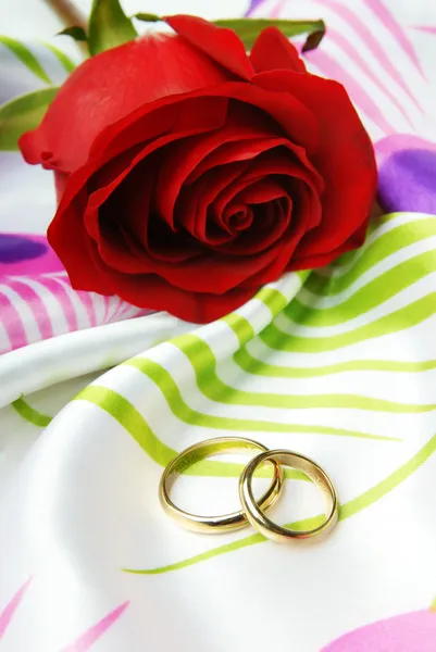 Červená růže a zlaté prsteny Stock Fotografie