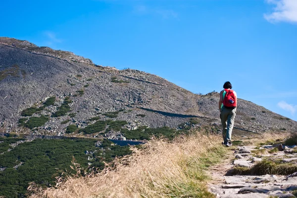 stock image Tourist going to the mountain top