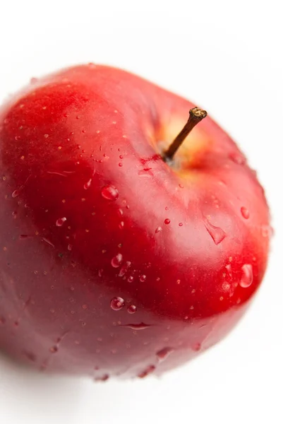 Taze kırmızı elma izole — Stok fotoğraf