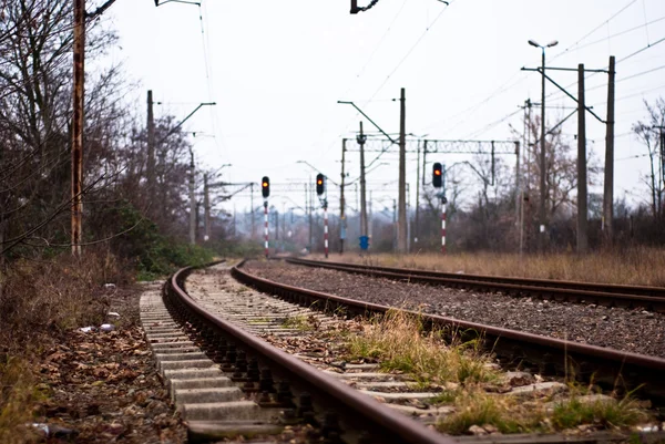 鉄道のための赤灯 — ストック写真