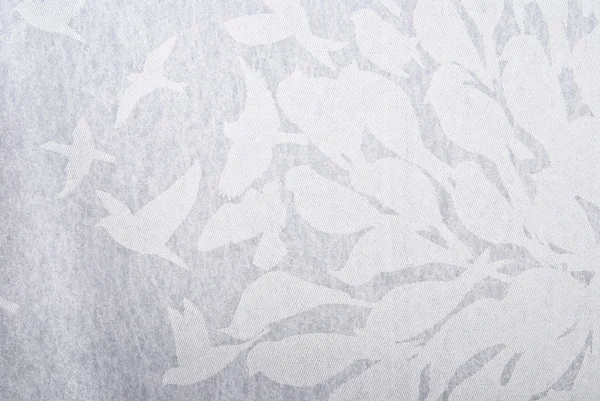 Bird abstract background — Stock Photo, Image